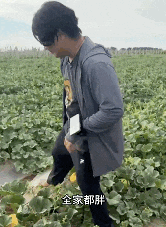 全红婵，已报警