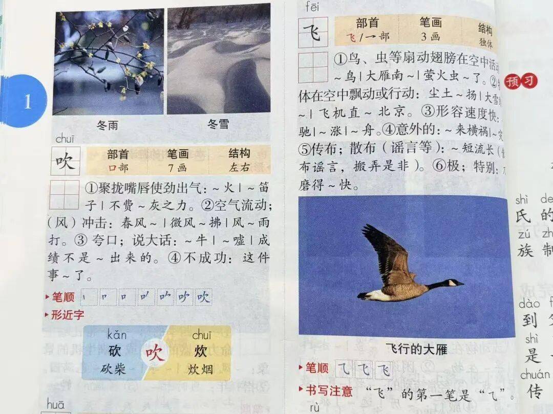 语文进步最快的方式，没有之一