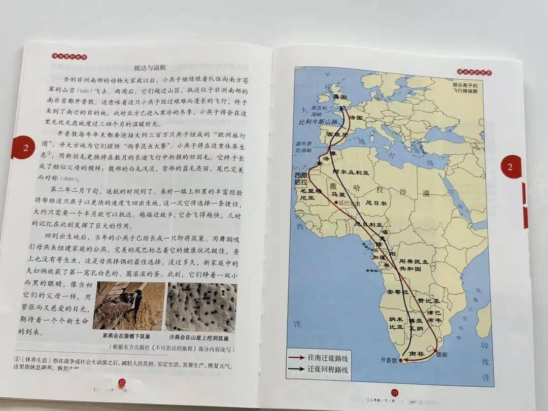 语文进步最快的方式，没有之一