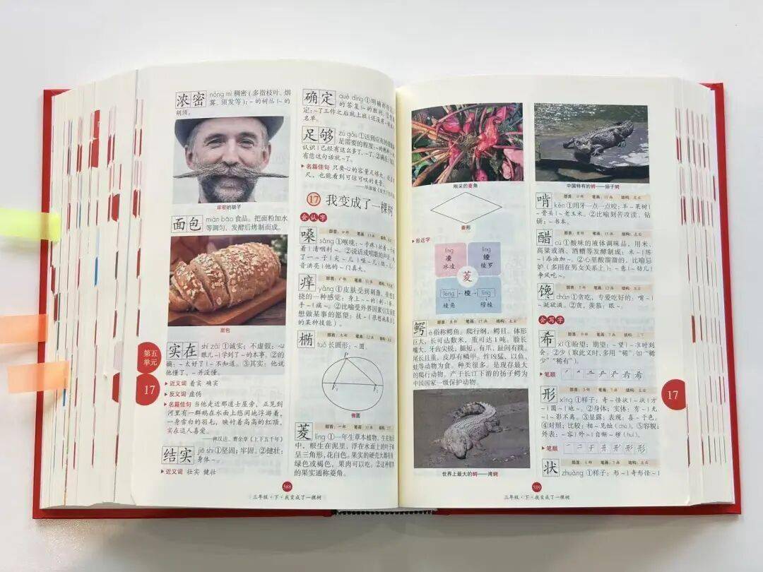 语文进步最快的方式，没有之一