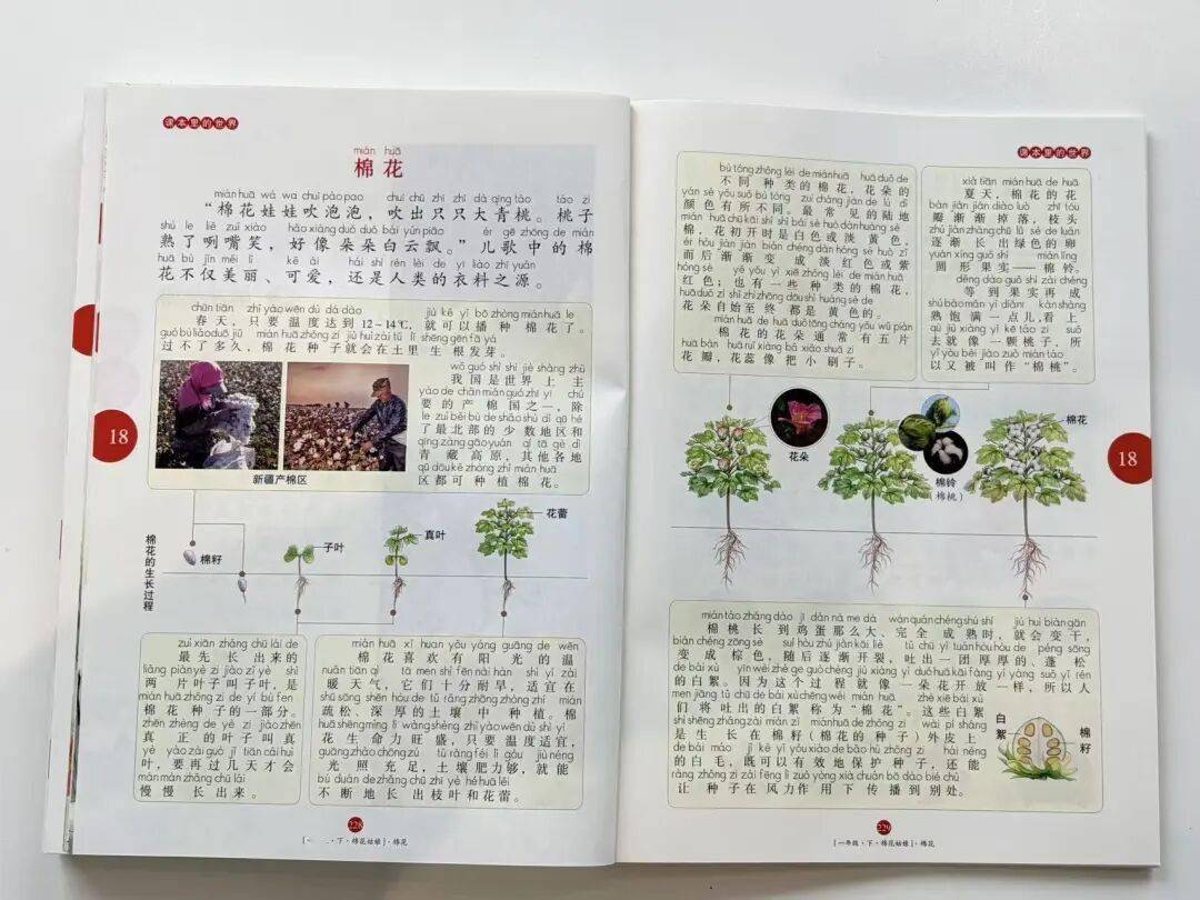 语文进步最快的方式，没有之一